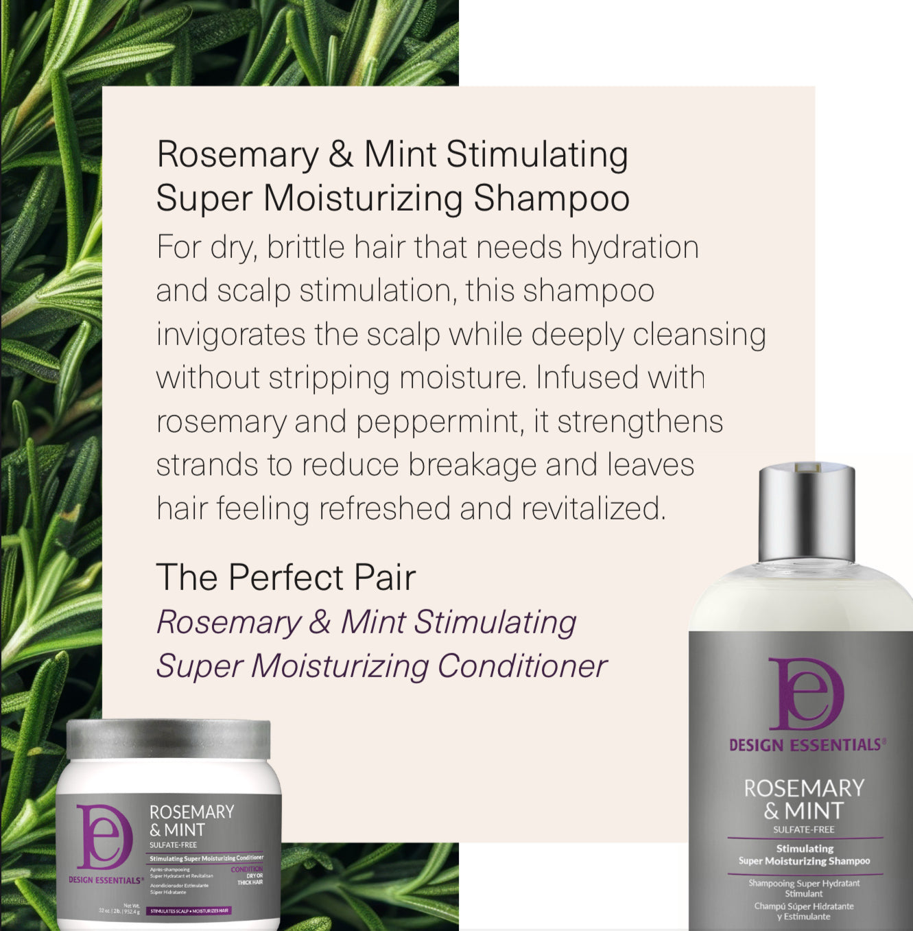 Spring Promotion BOGO Deal